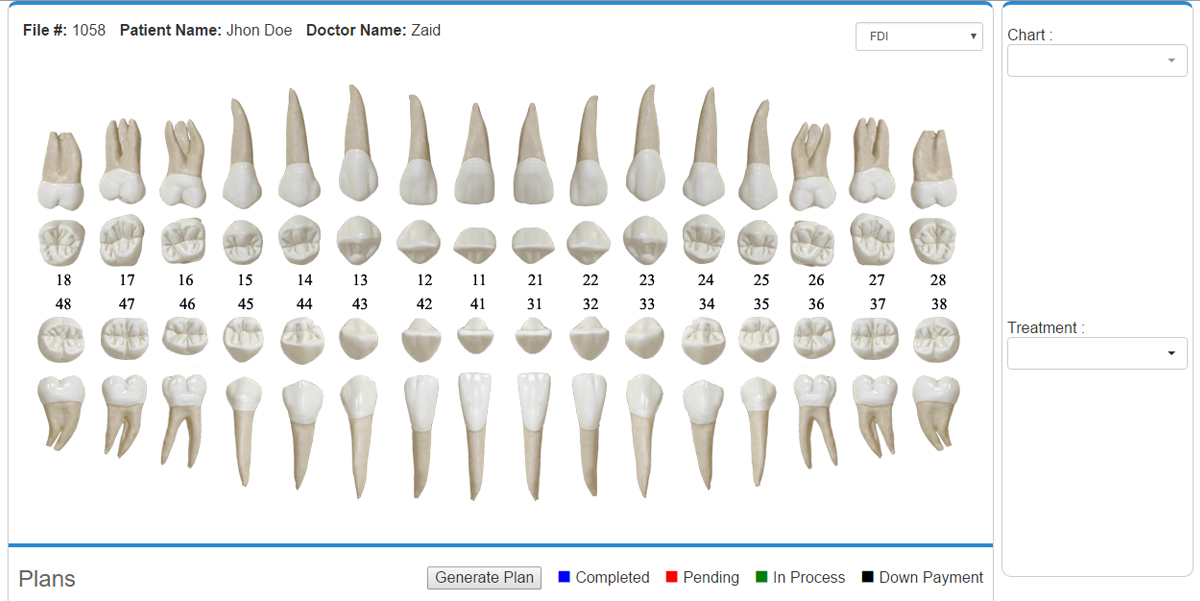 Dental Charting Practice